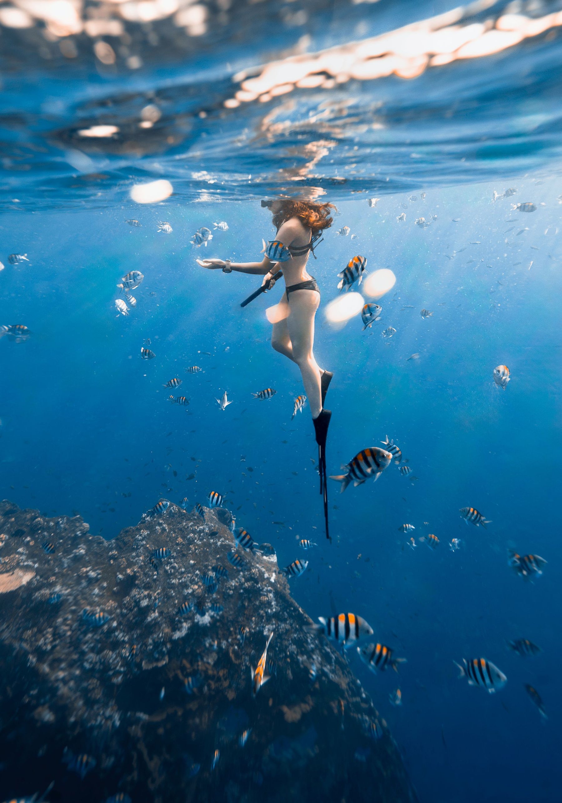 Snorkeling Gear
