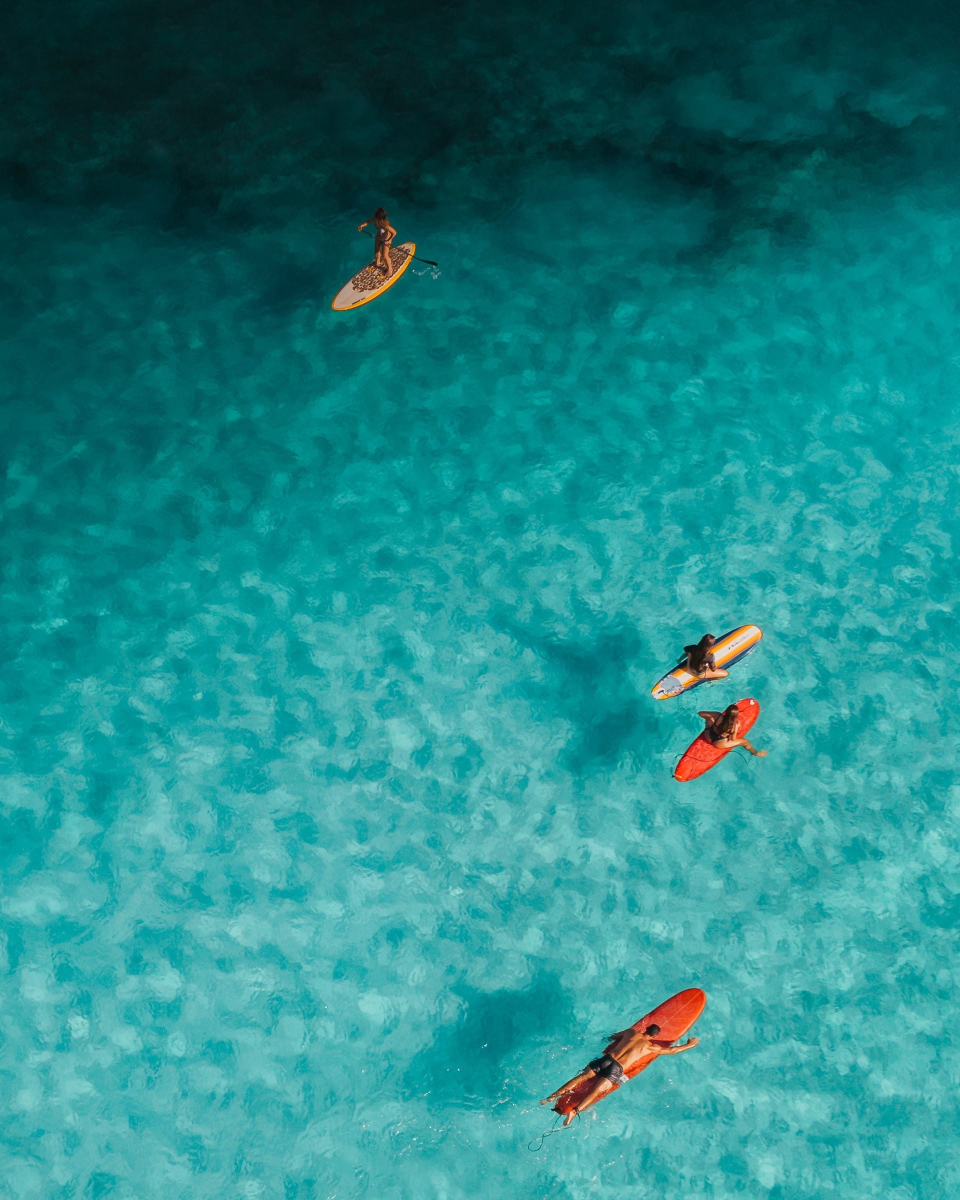 Discover BlueWave